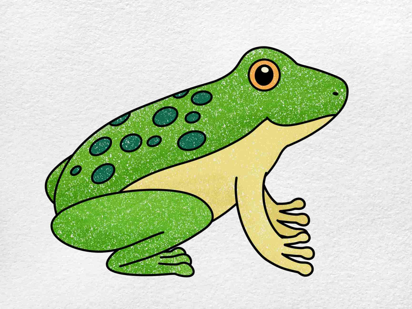 A Green Frog With Spots On Its Face