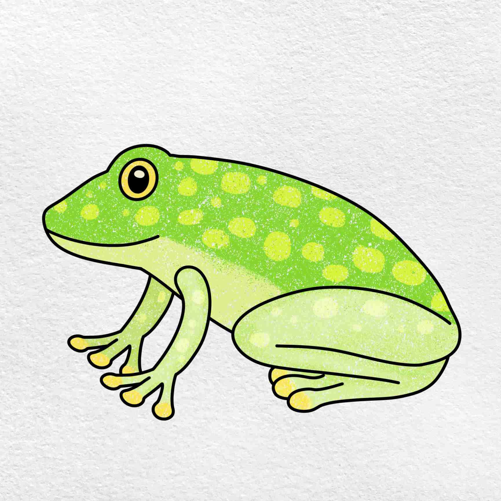 A beautiful sketch of a frog