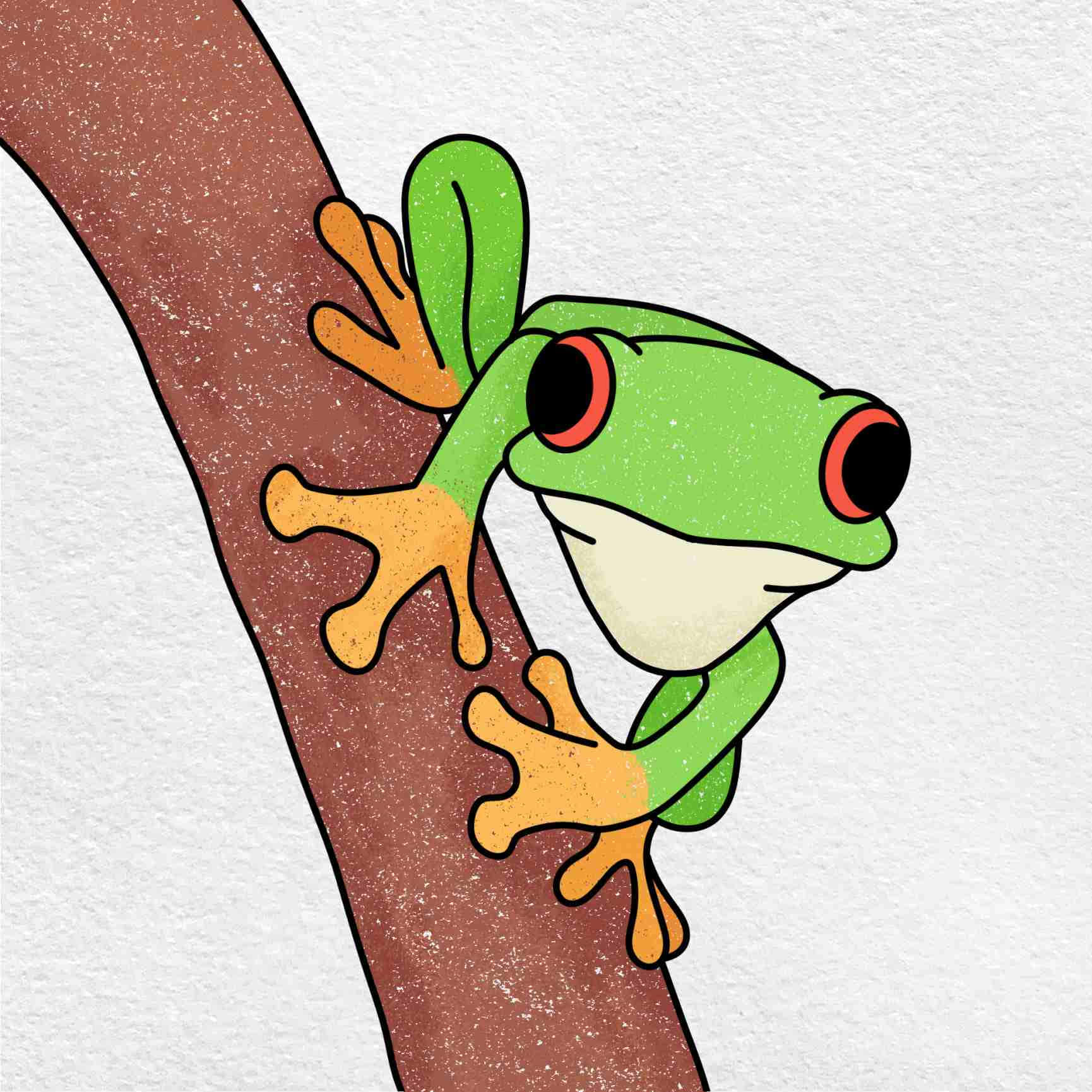 A Detailed Drawing of a Frog