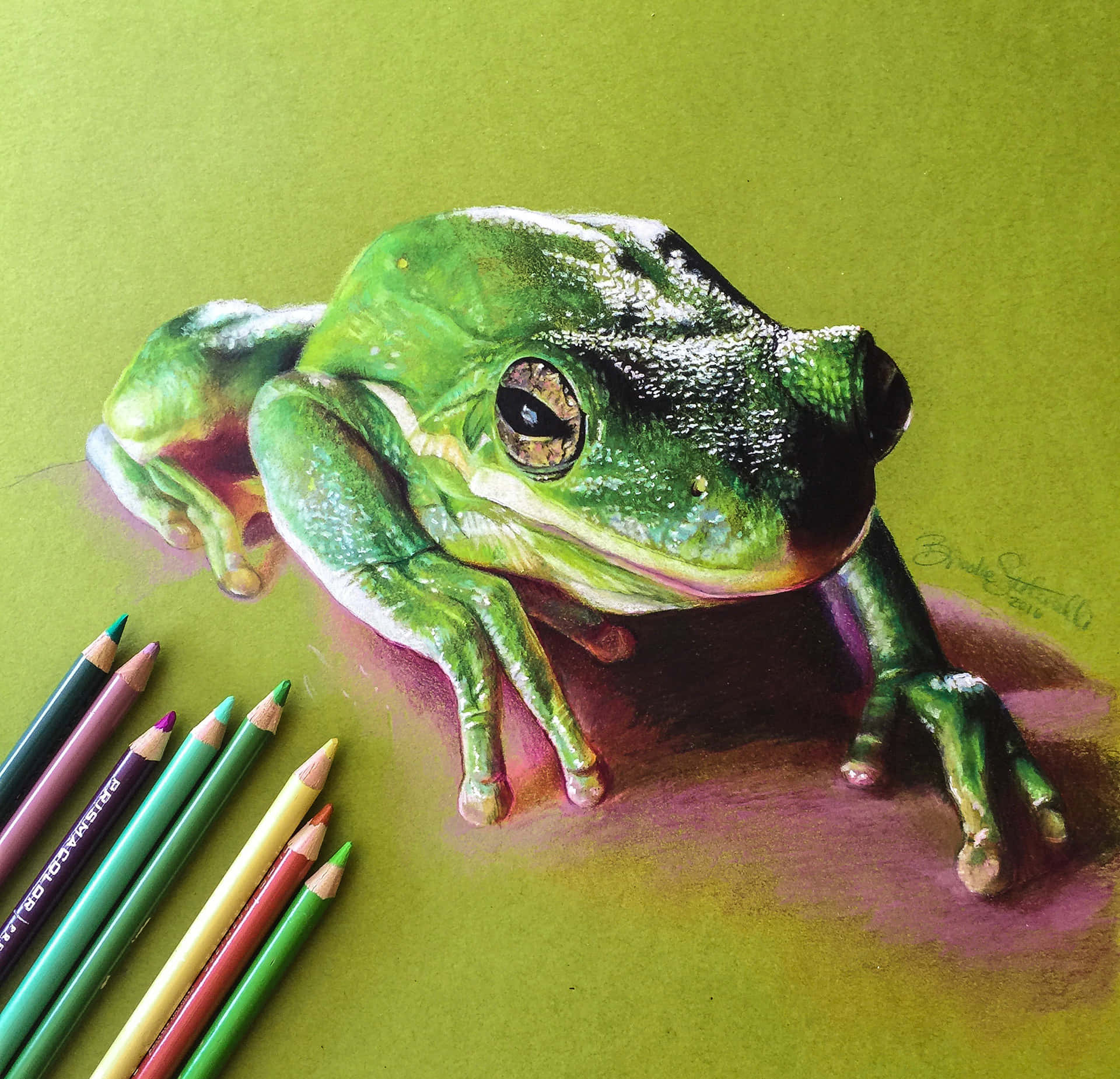 Cute frog drawing