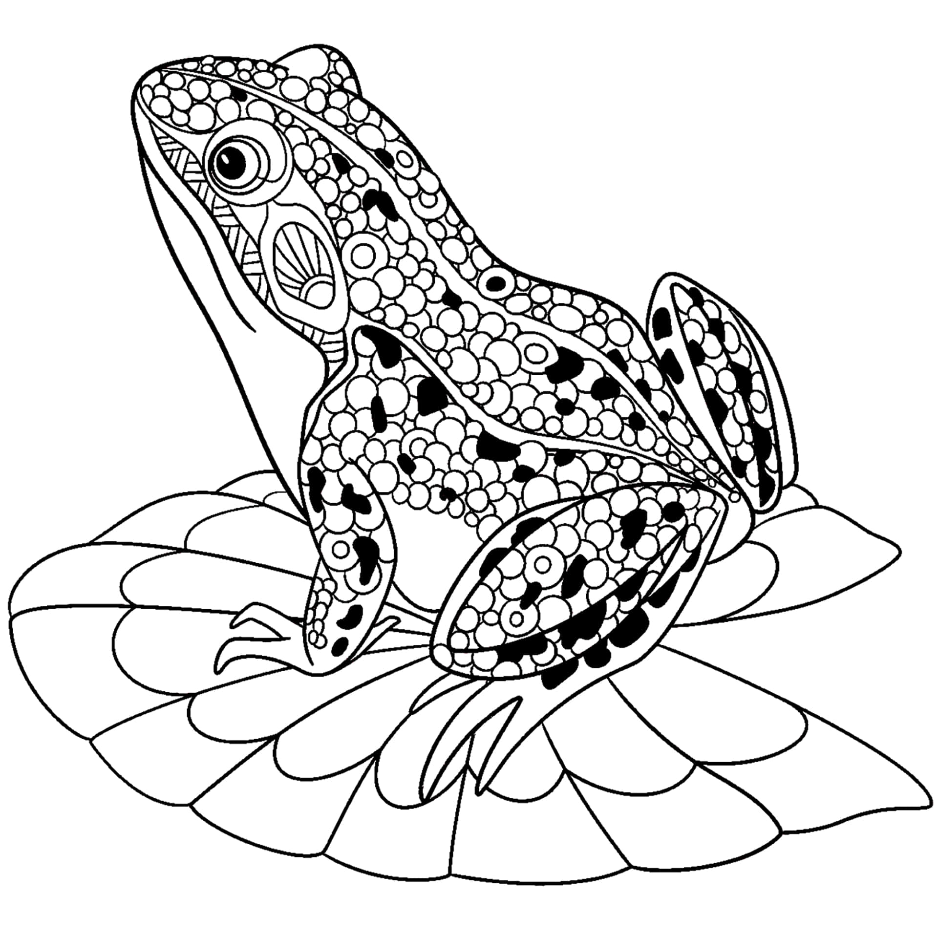 A whimsical handdrawn frog
