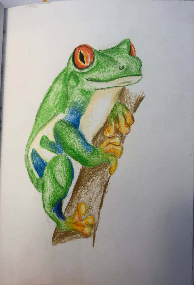 Colorful Drawing of a Frog