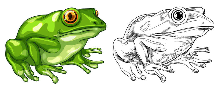 A Green Frog With A Red Eye And A Green Body