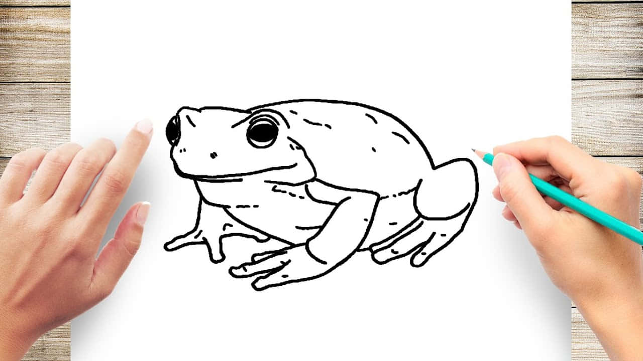 How to Draw a Frog for Kids  A StepbyStep Guide with Pictures