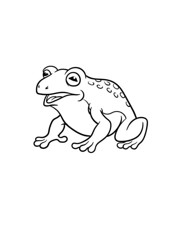 A cute frog drawing