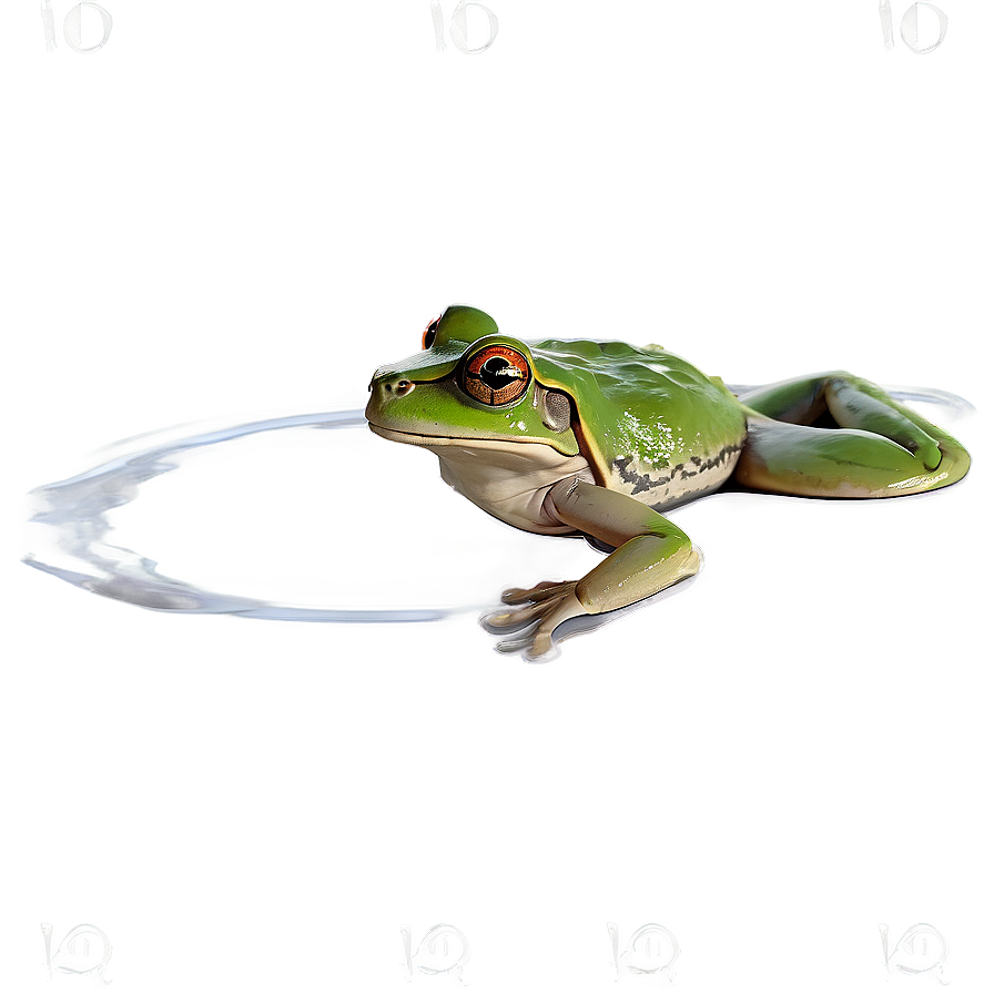 Frog In Pond Scenery Png 2 PNG