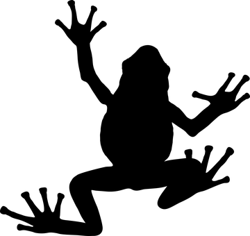 Frog Shadowon Leaf PNG — Solid black background with no visible elements or patterns.