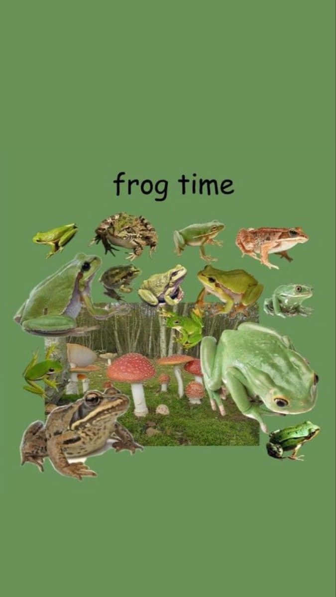 Frog Time Collage Wallpaper