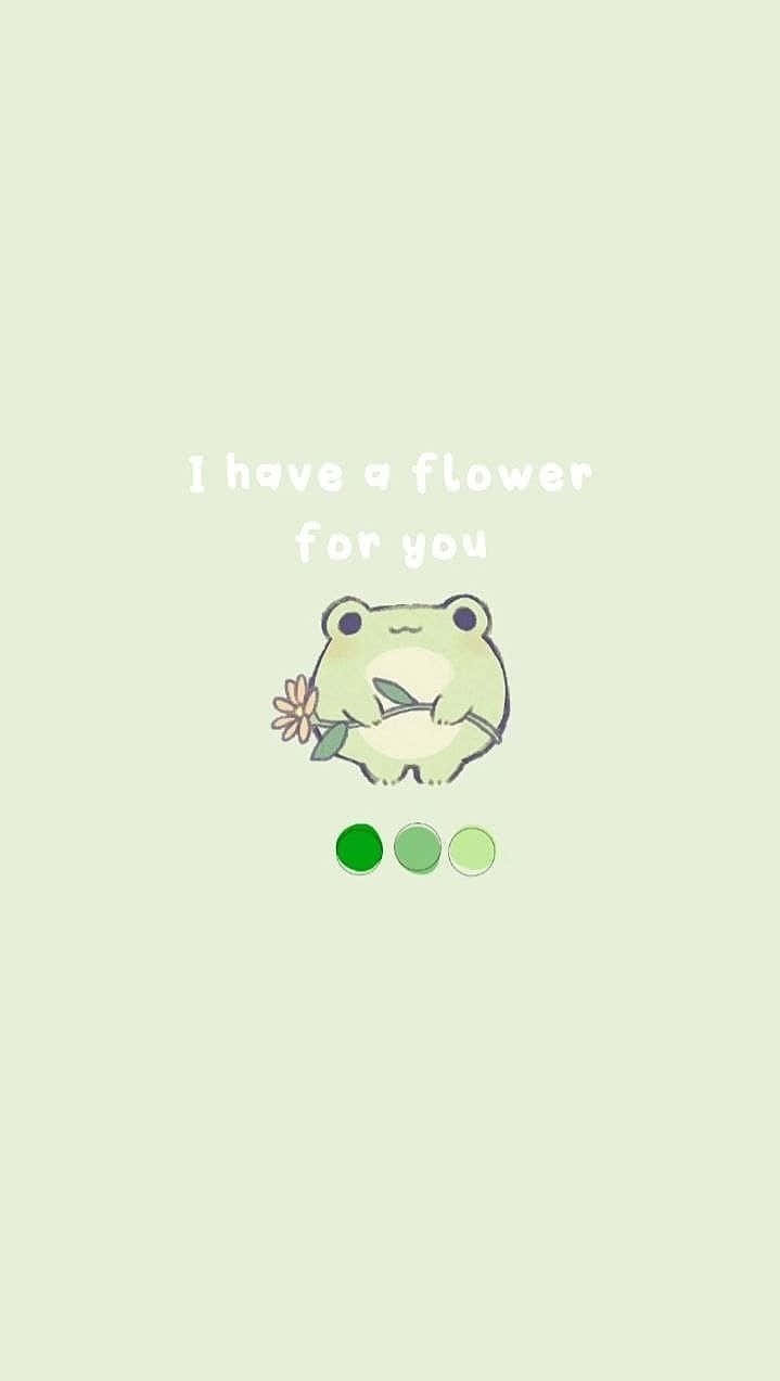 Frog With Flower Gift Illustration Wallpaper