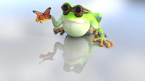 Frog With Goggles And Butterfly PNG
