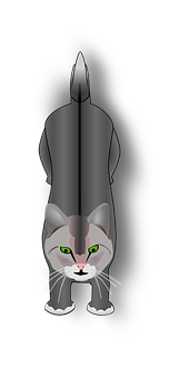 Front Facing Gray Cat Illustration PNG