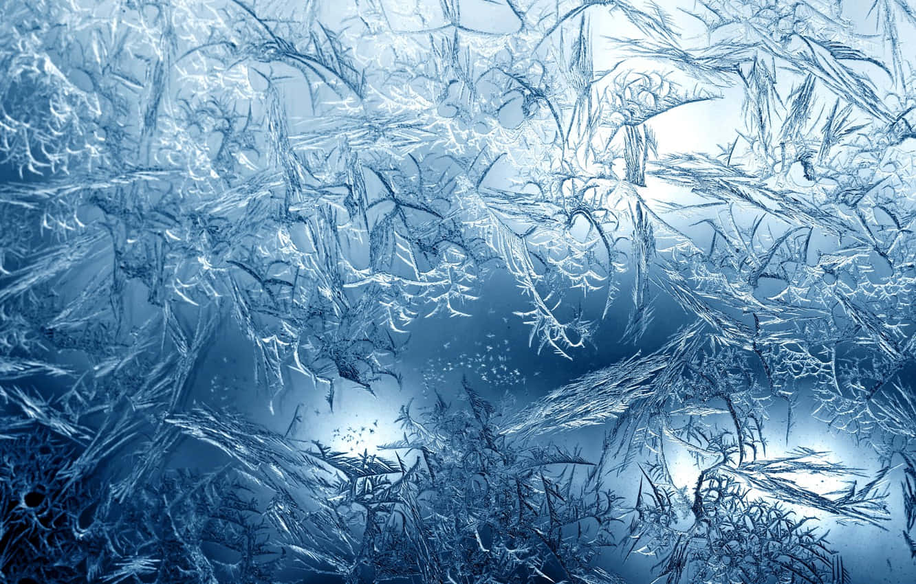 Frosty Winter Wonderland