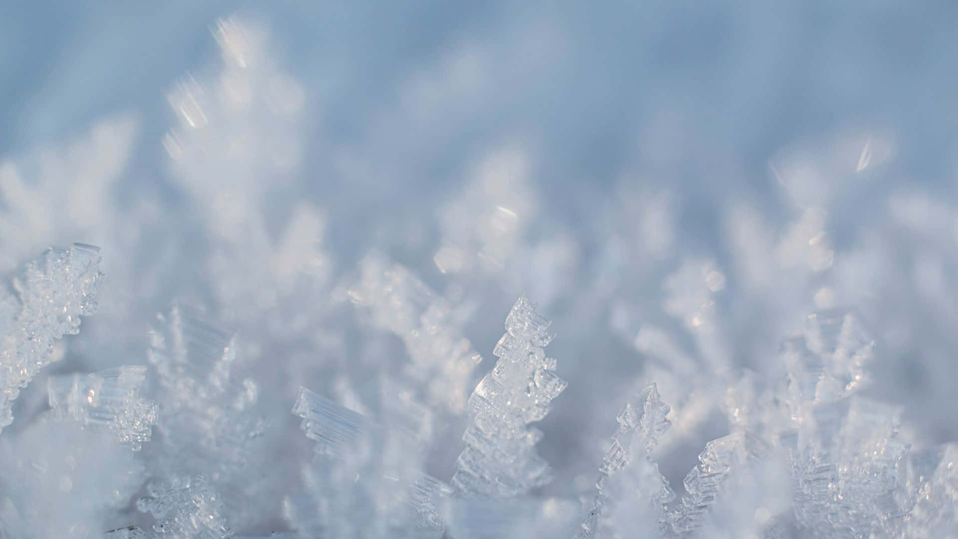 Frosty morning landscape