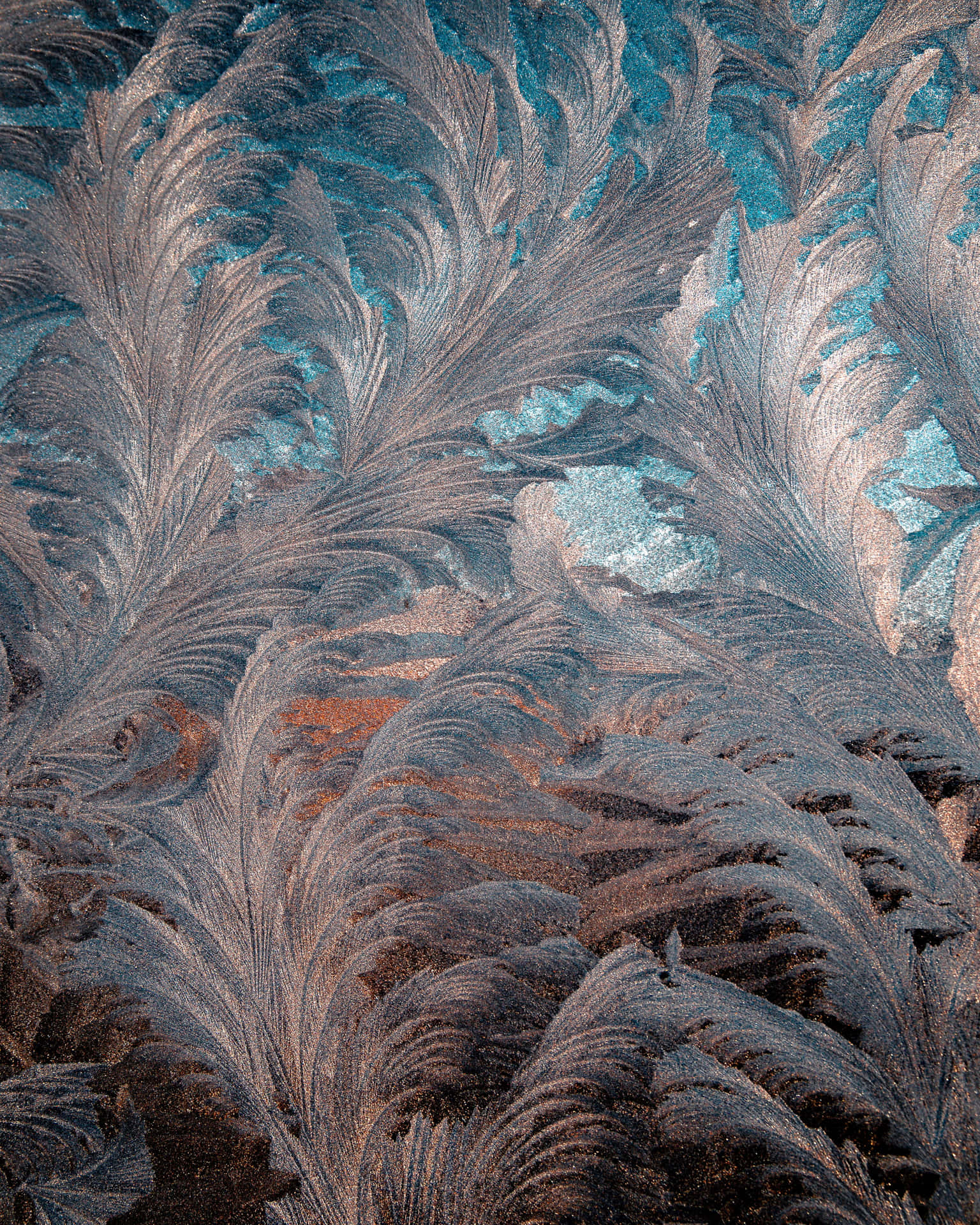 A frosty winter morning with a close-up view of delicate ice crystals