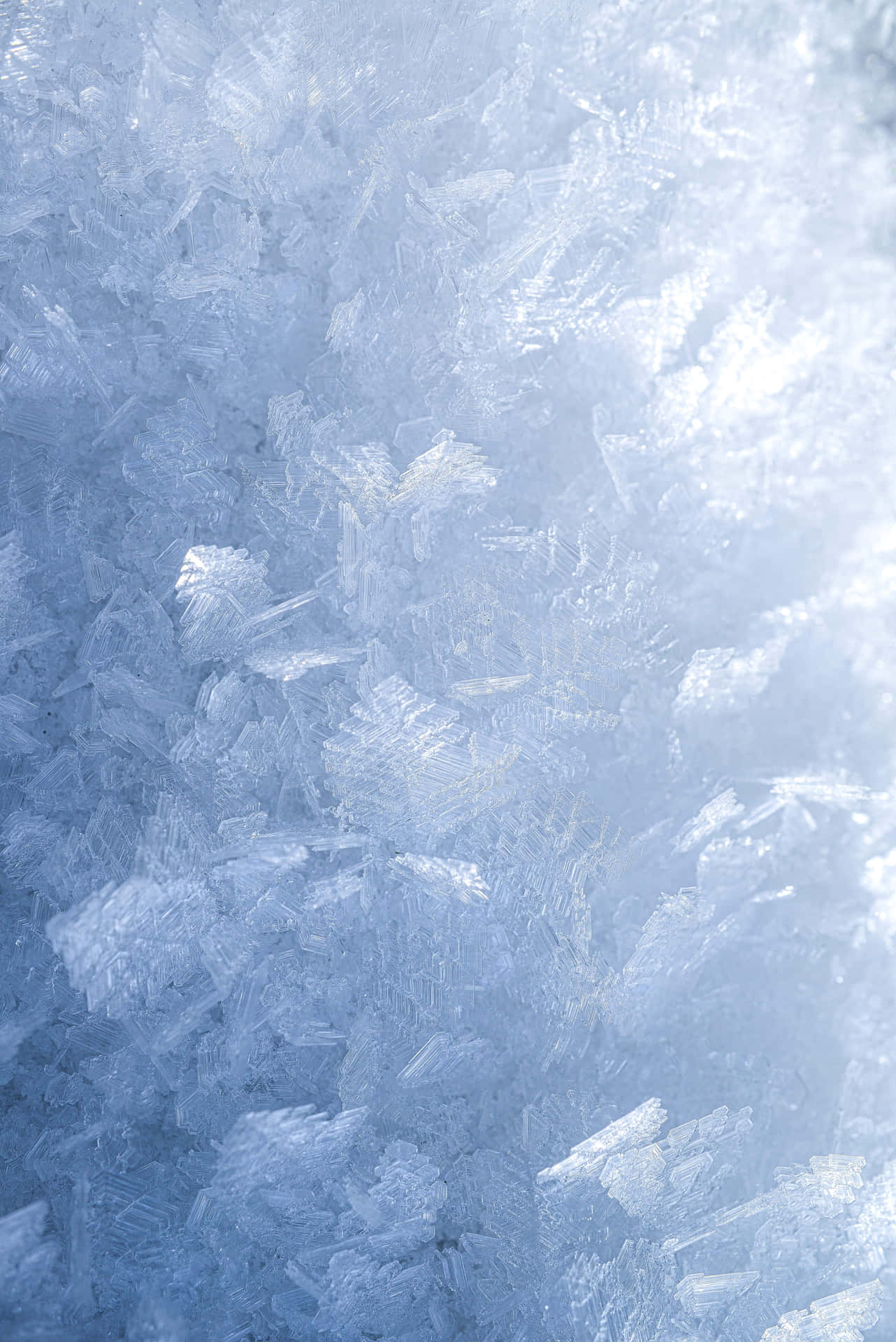 Hintergrundmit Frosteffekt In Den Maßen 3144 X 4710