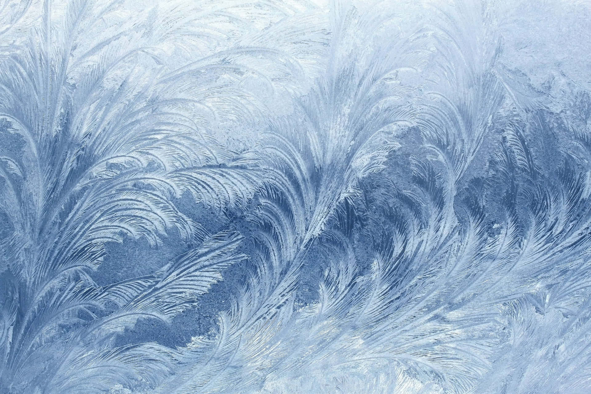 100+] Frost hintergrund