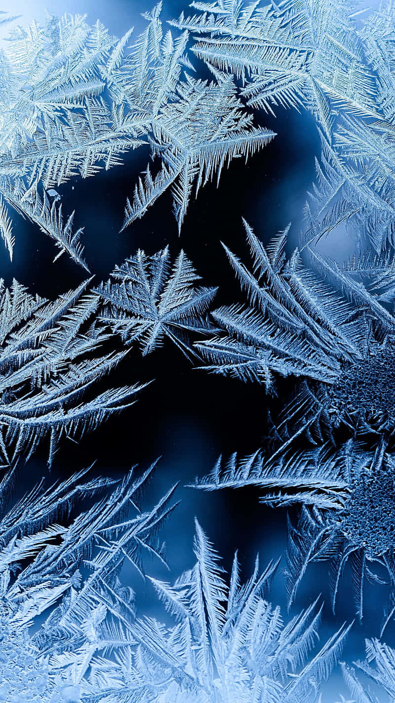 A Close-Up of Delicate Frost Patterns