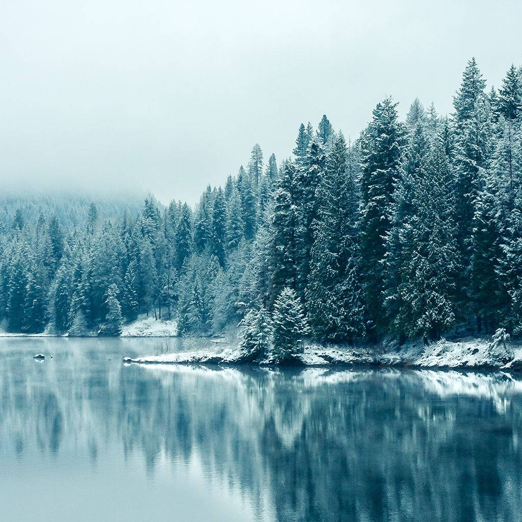 Frosted Lake View Ipad Mini Wallpaper