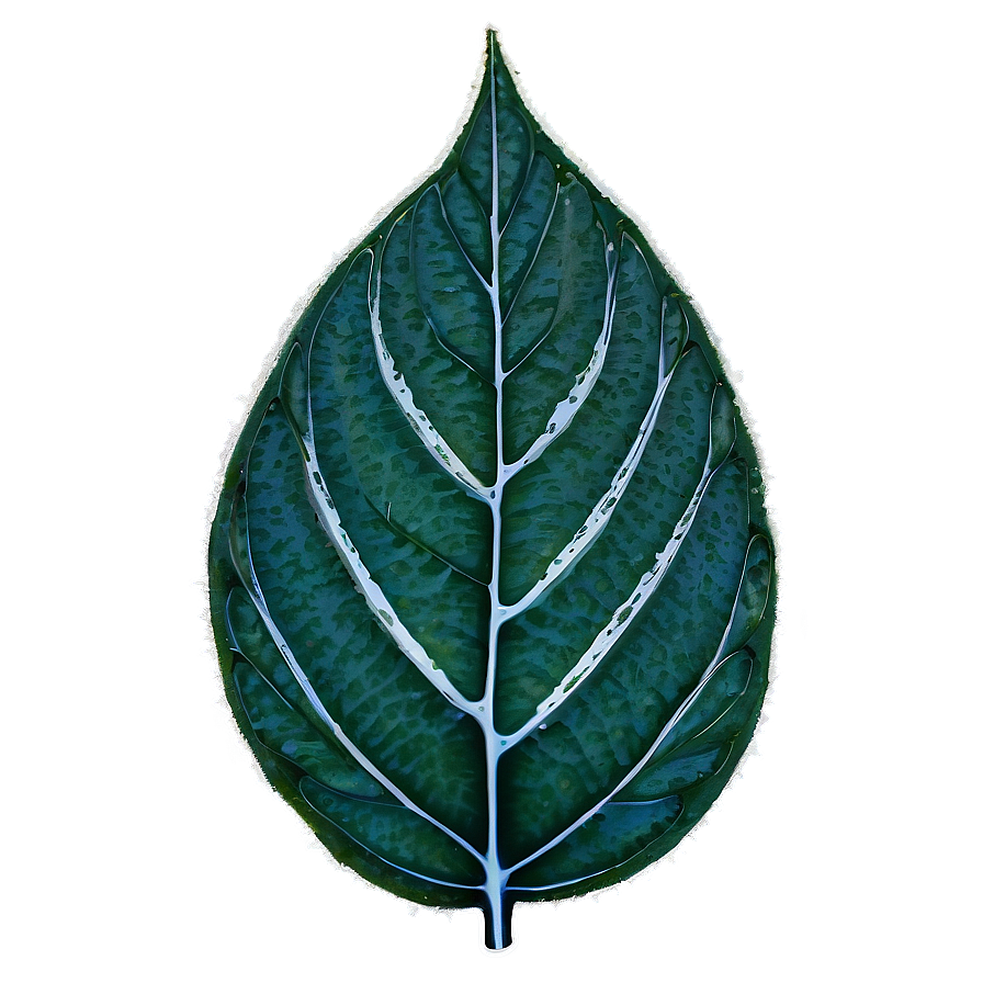 Frosted Leaf Png 97 PNG