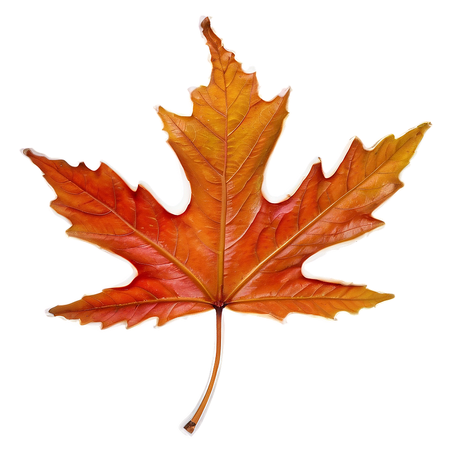 Frosted Leaf Png Sis PNG