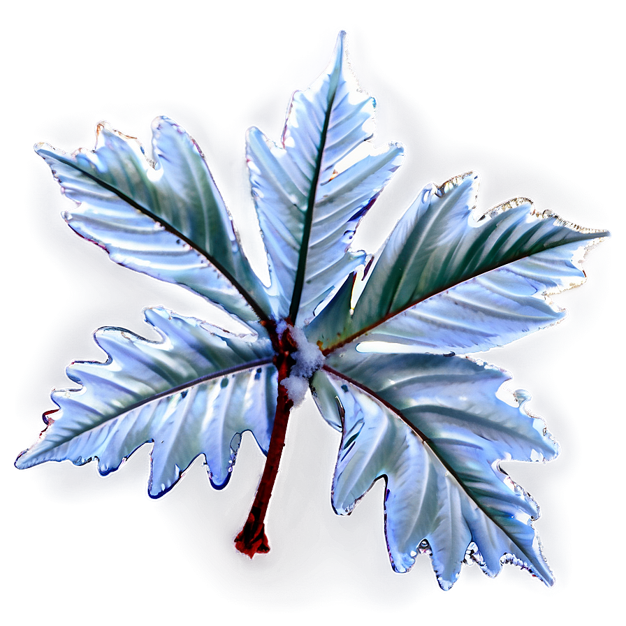 Frosted Leaves Falling Png Xxl56 PNG