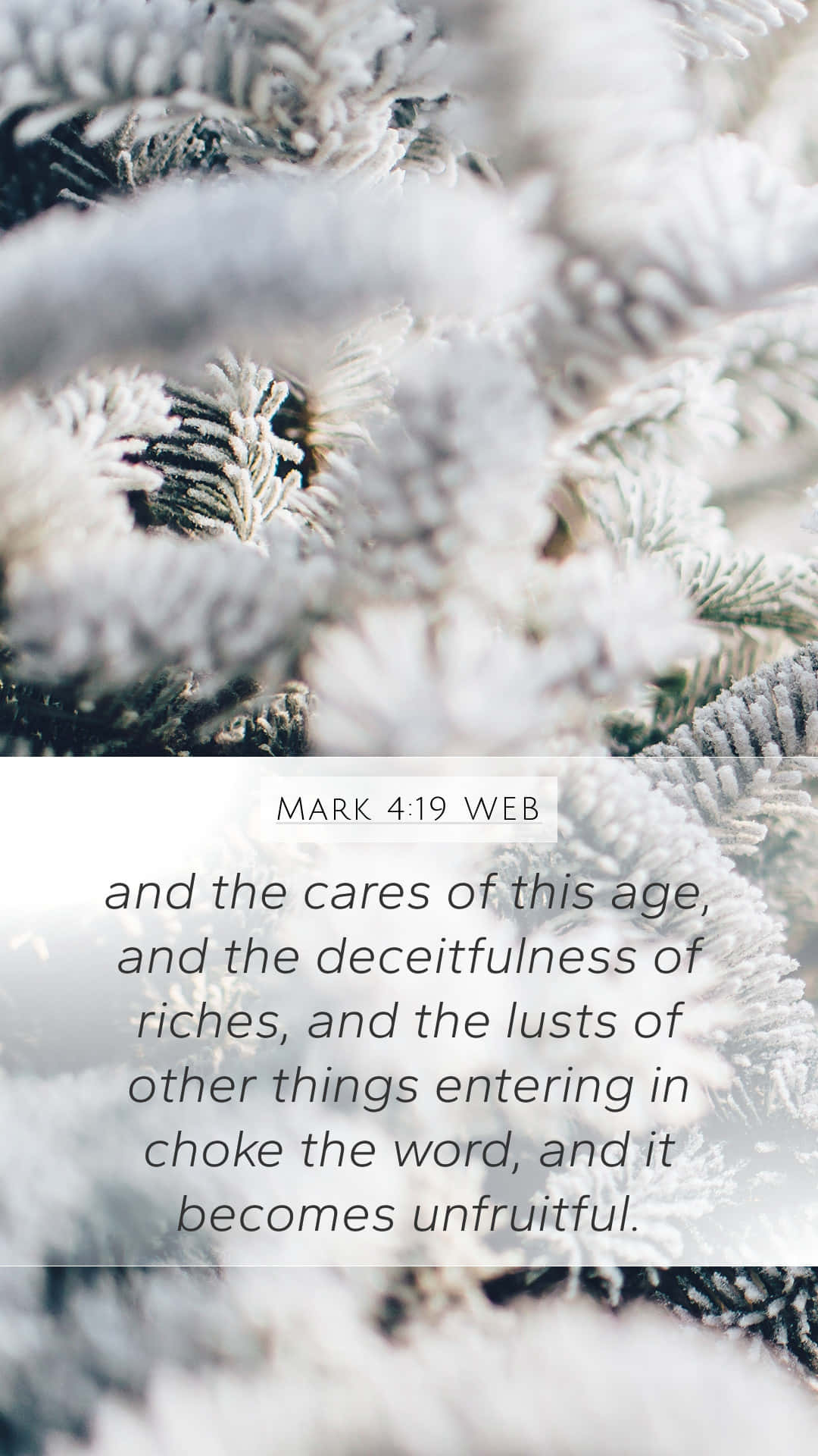Frosted Pine_ Mark419_ Bible Verse Wallpaper