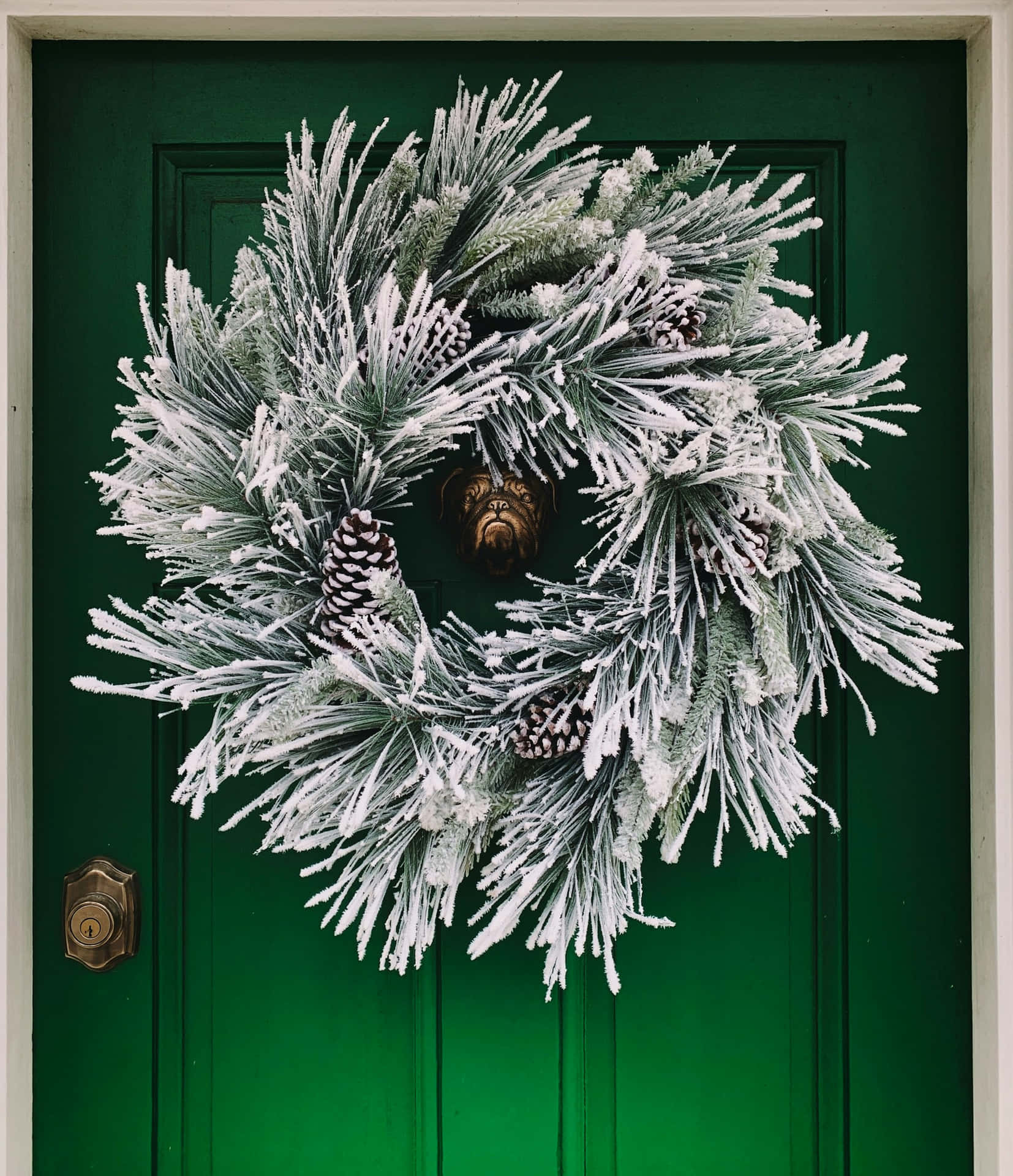 Frosted Pinecone Wreathon Green Door.jpg Wallpaper