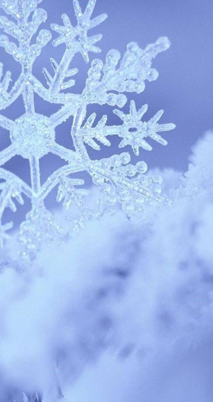 Frosted Snowflake At Snow