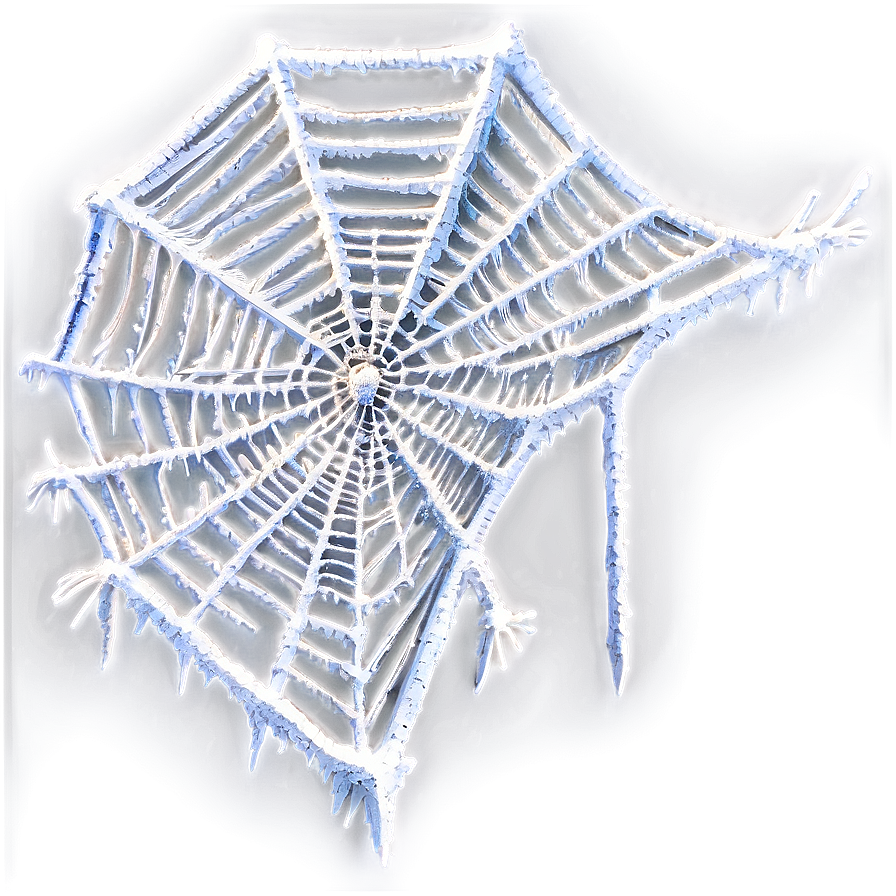 Frosted Spider Web PNG