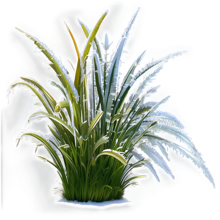 Frosted Winter Grass Png Pkq PNG