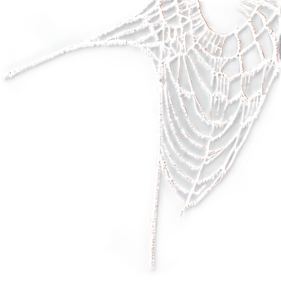 Frosty Spider Web Art PNG