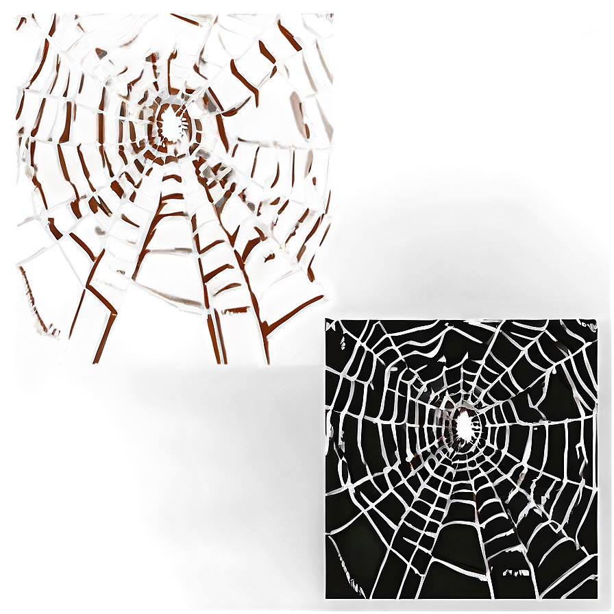 Frosty Spider Web Artwork PNG