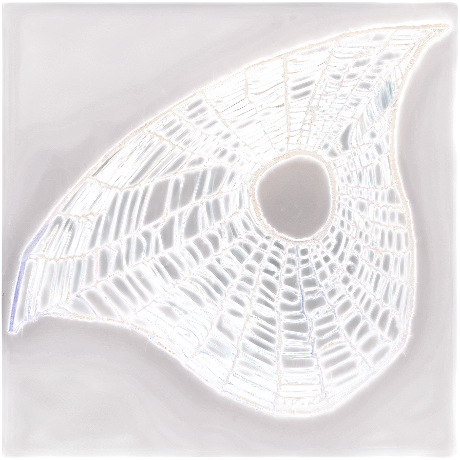 Frosty Spider Web Artwork PNG