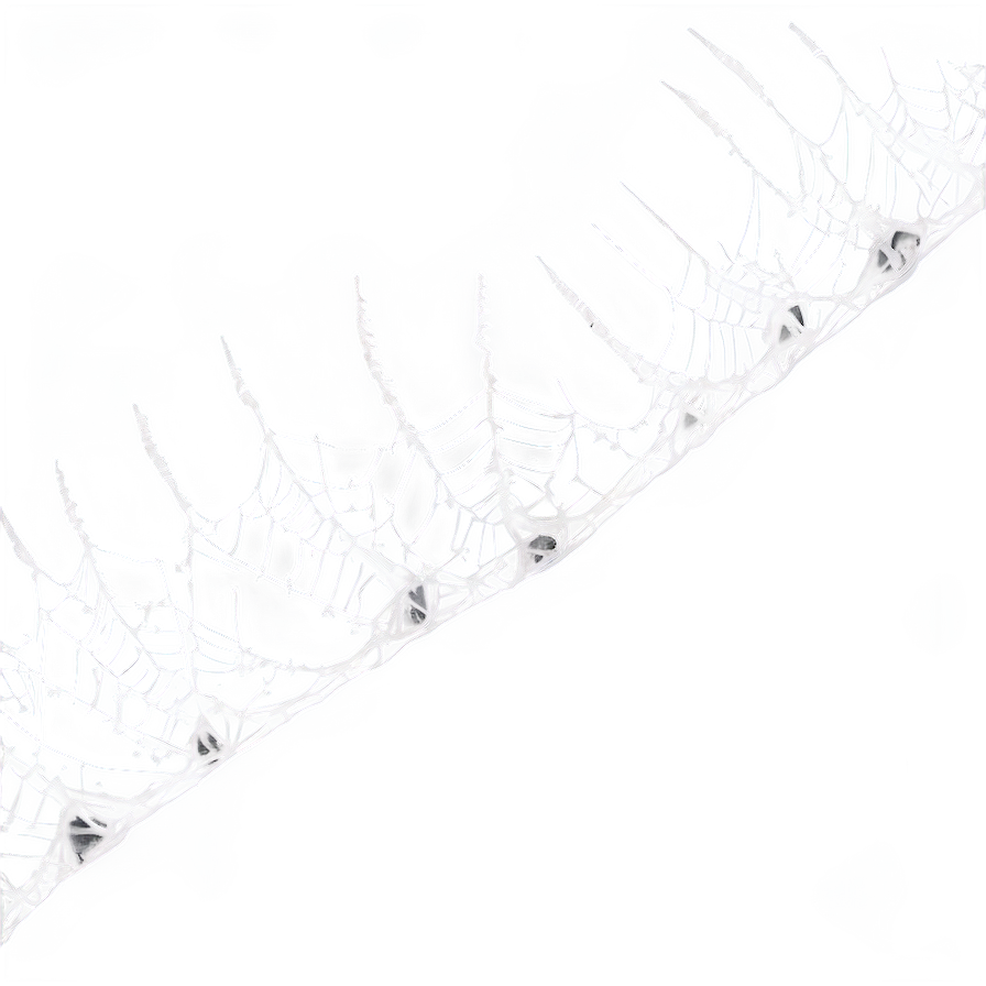 Frosty Spider Webon Branch PNG