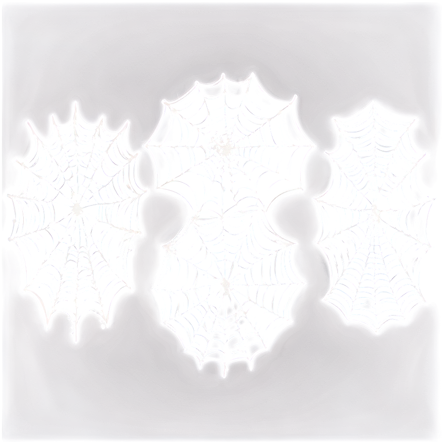 Frosty Spider Webs Illustration PNG