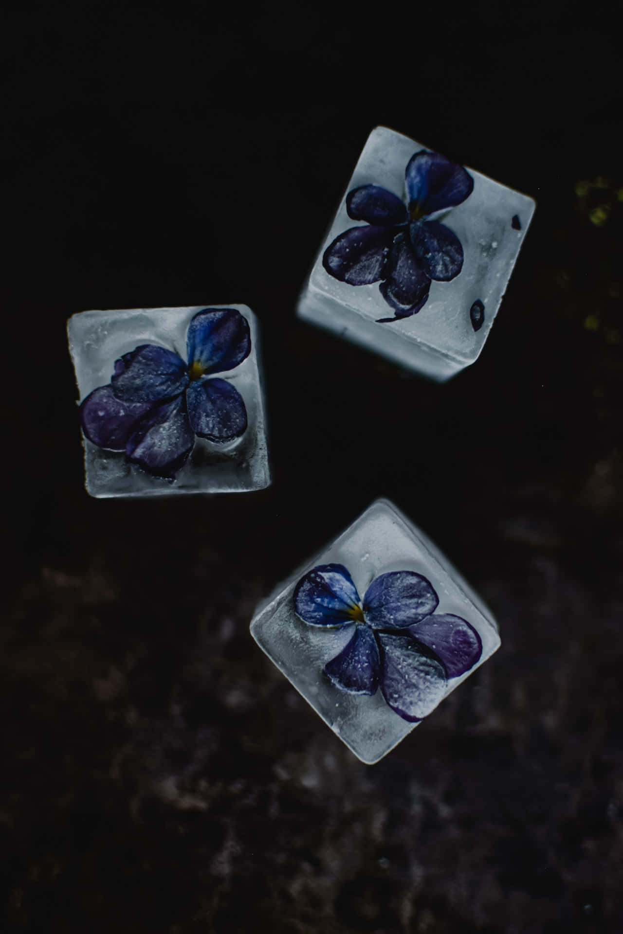 Frozen Blue Flowers Phone Wallpaper