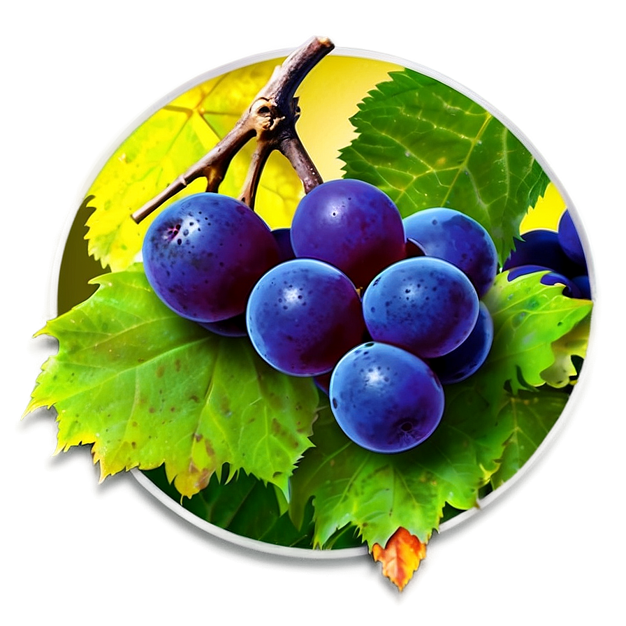 Frozen Grape Png Aeg22 PNG