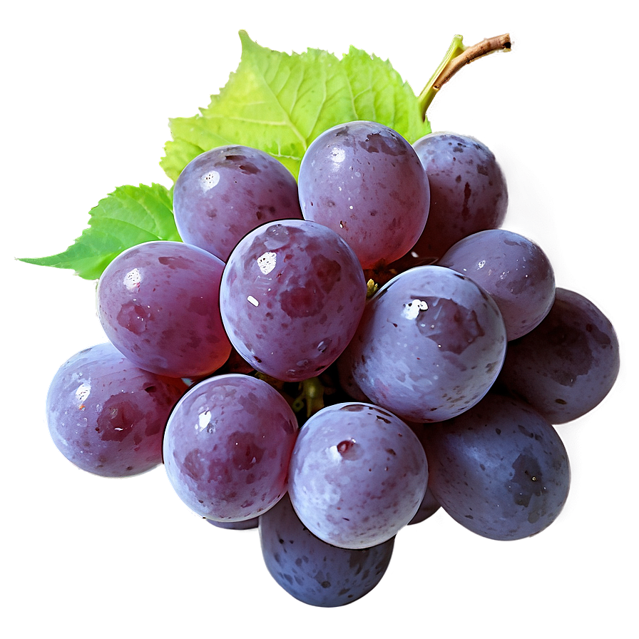 Frozen Grape Png Ubr12 PNG