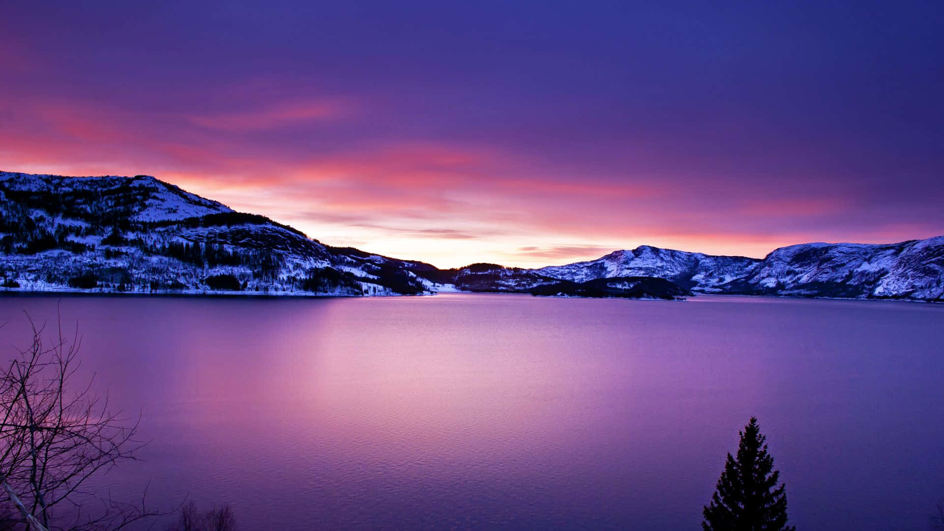 Frozen Lake on a Winter Day Wallpaper