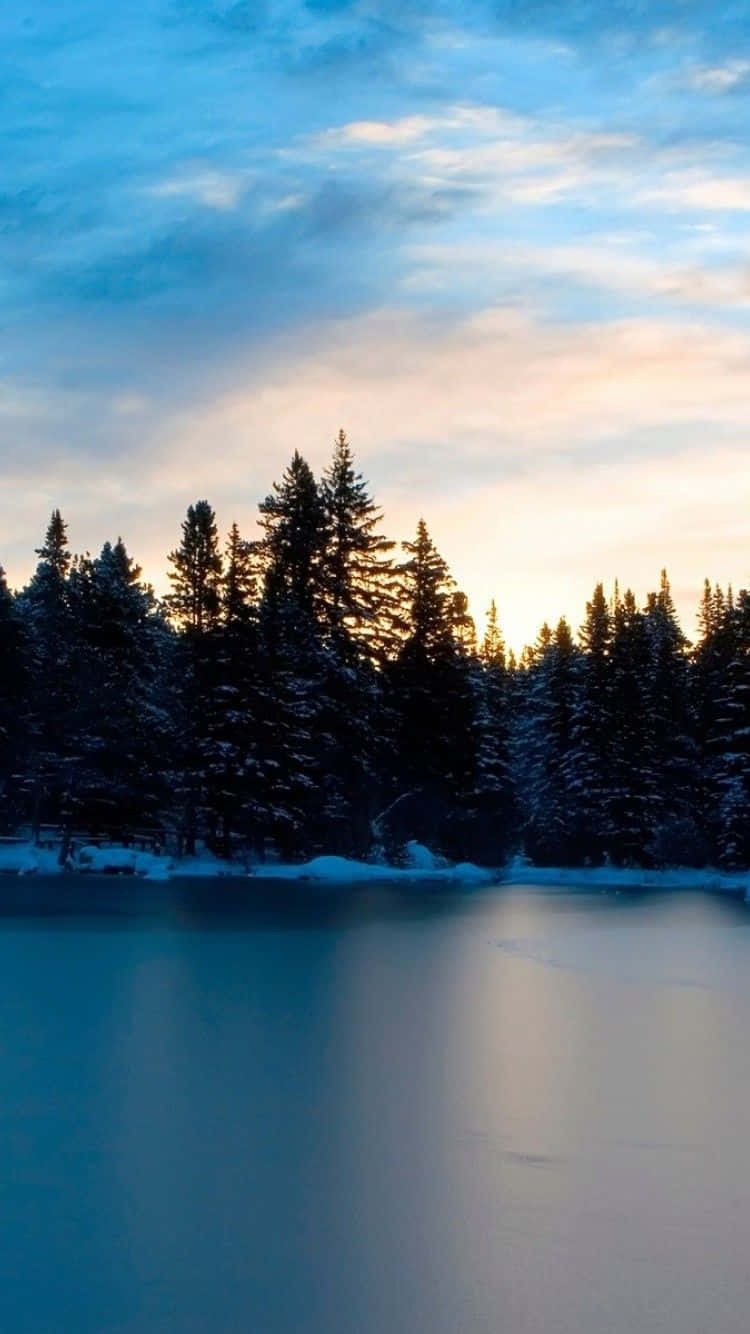 Captivating Frozen Lake surrounded by snow-dusted trees Wallpaper