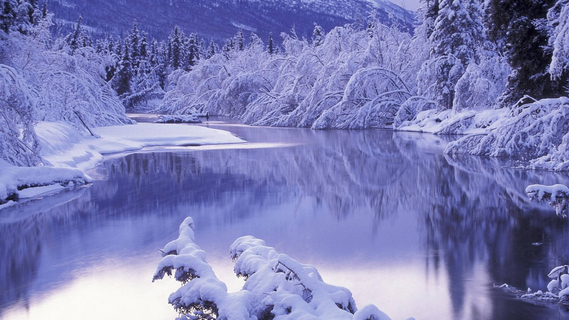 Frozen Lake Nature Scenery