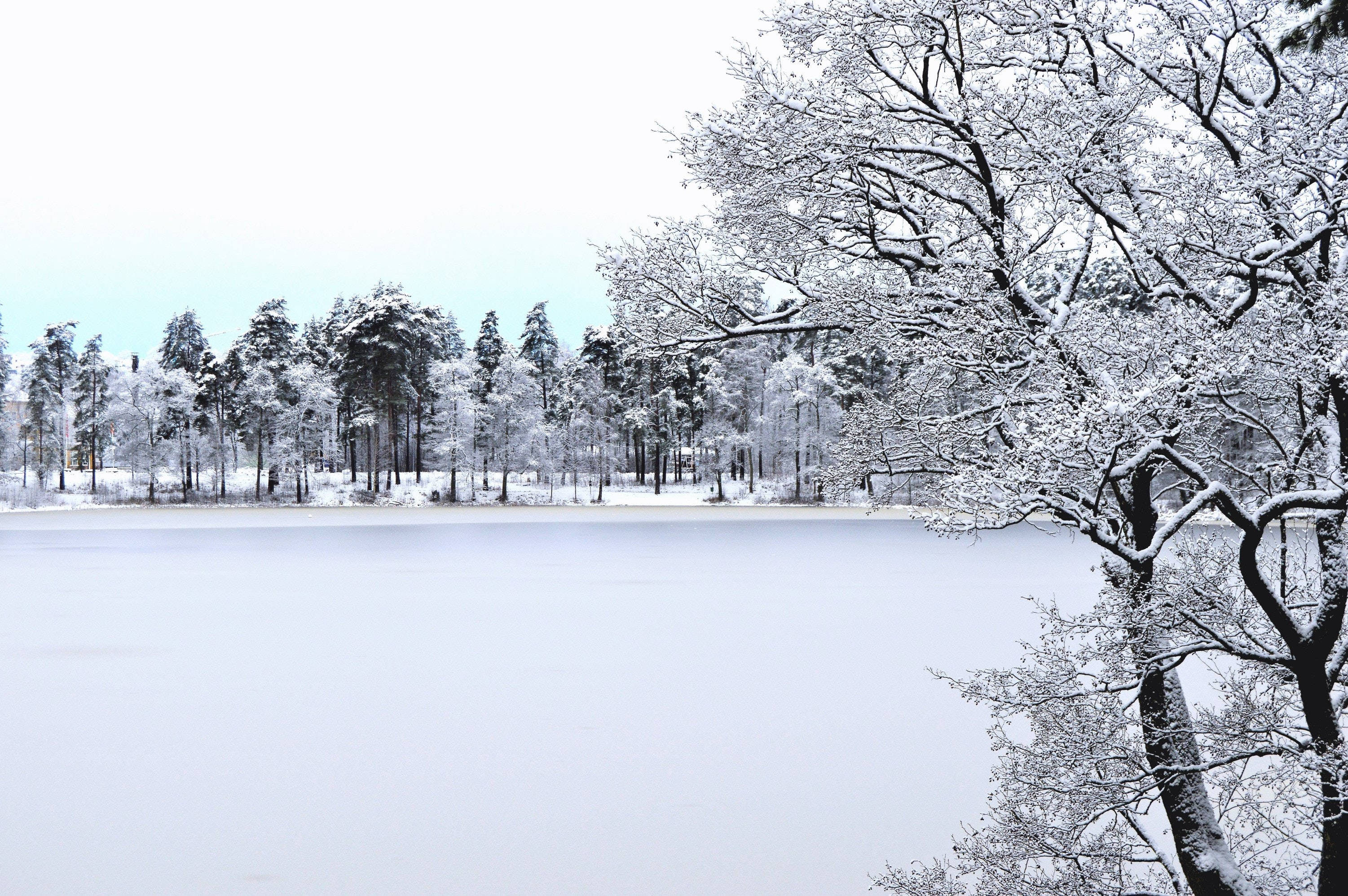 Frozen Lake Winter Scenery Wallpaper