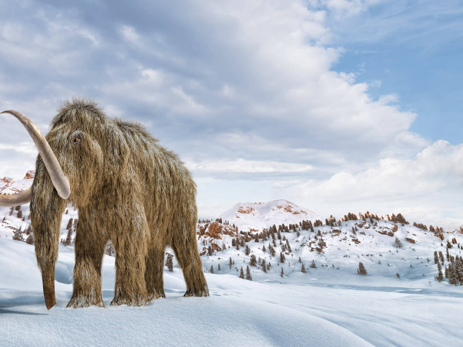 Frozen Landscape With Giant Mammoth Wallpaper