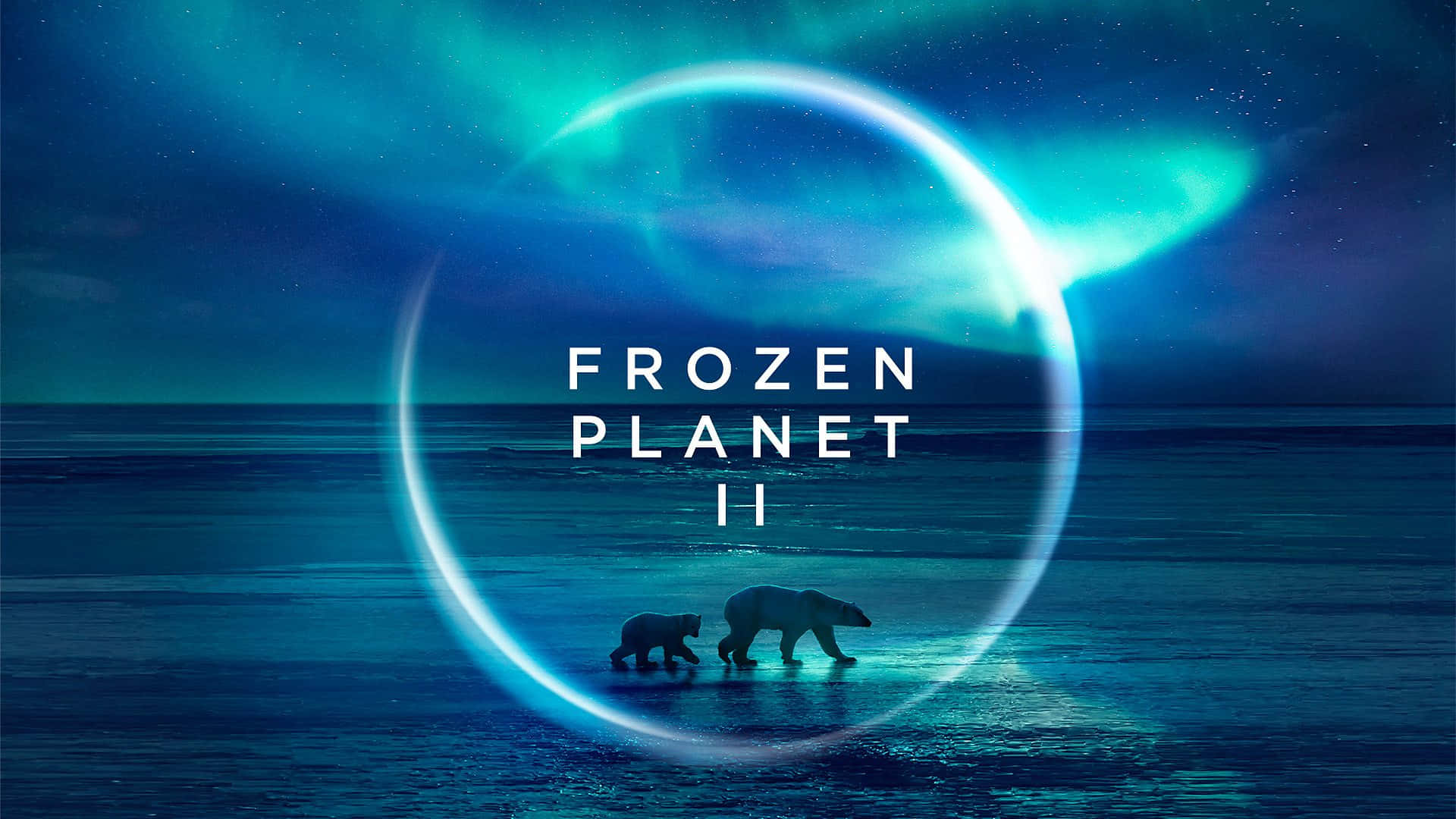 Frozen Planet II Billede HD lyser skærmen op.