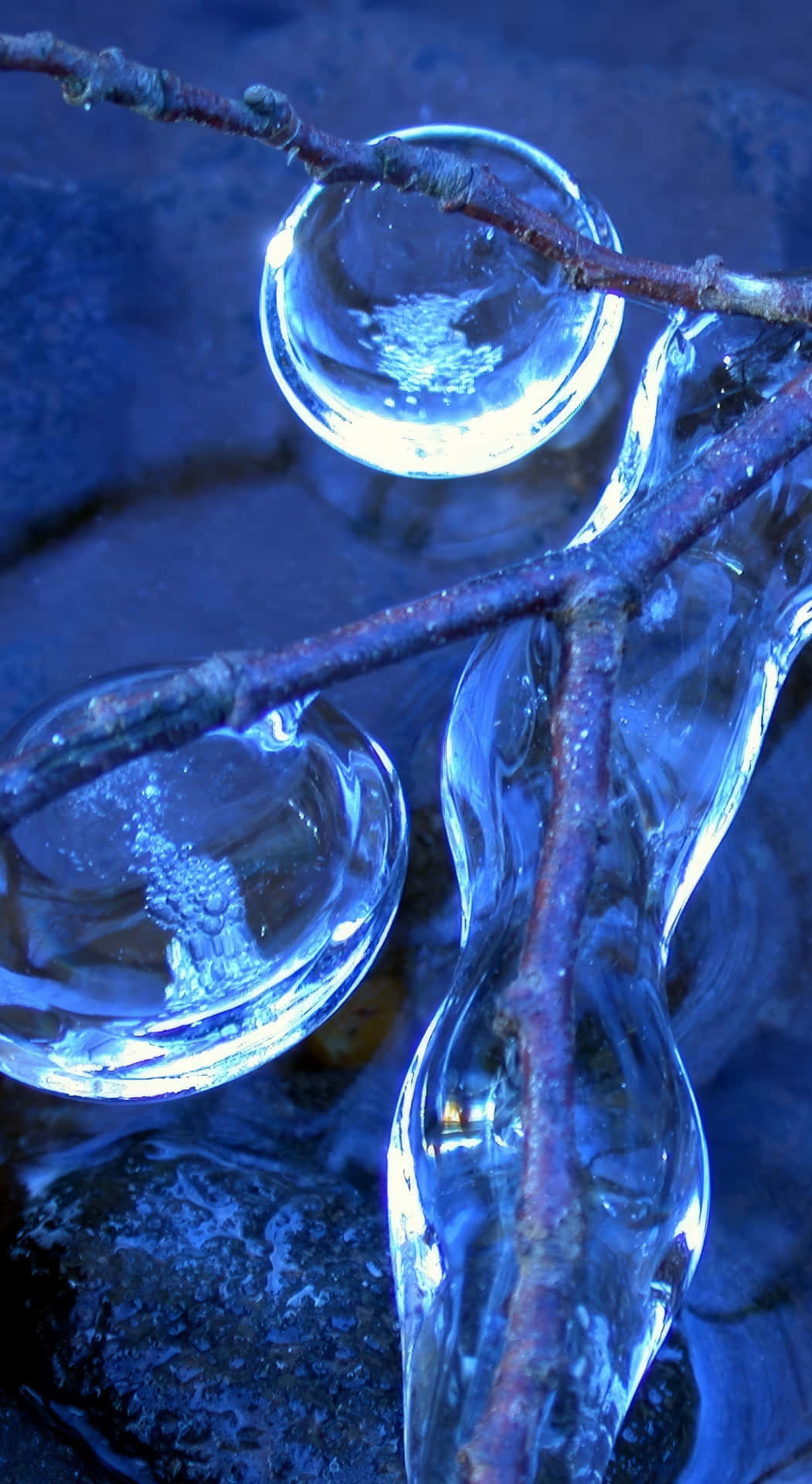 Frozen Twigs Encasedin Ice Bubbles Wallpaper