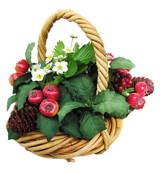 Fruit Flower Basket Arrangement PNG