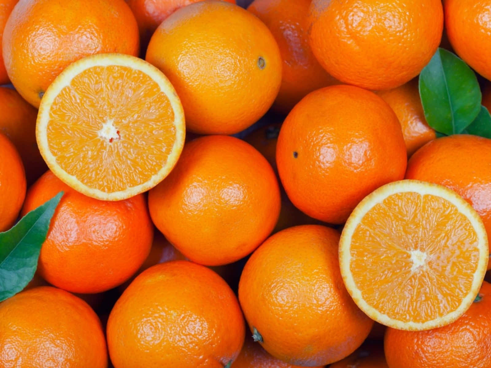 Orangenliegen In Einem Haufen.