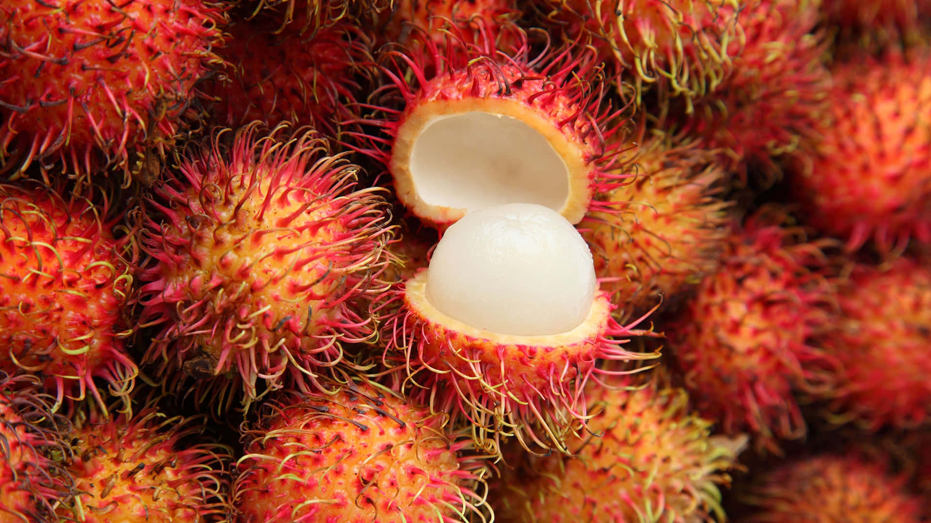 Umclose-up De Uma Fruta Rambutan