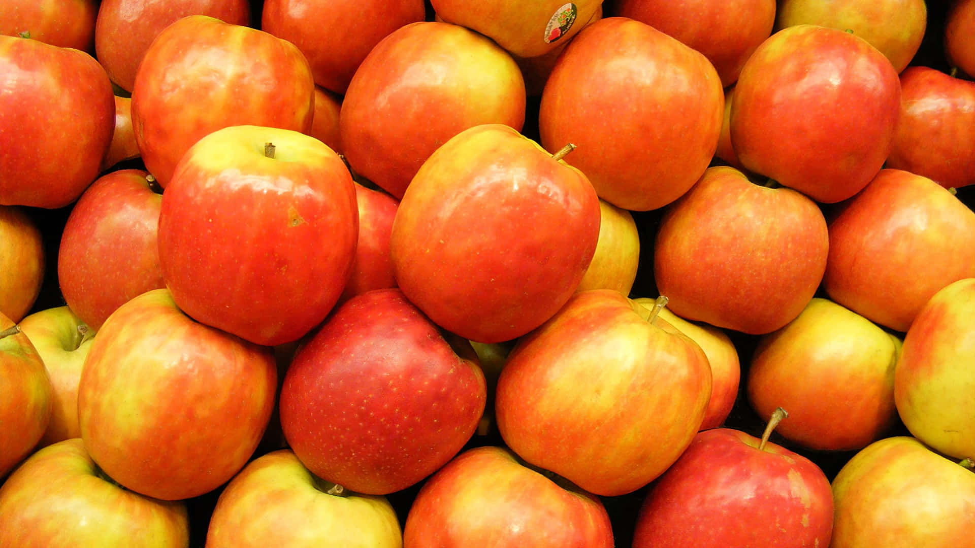 A basket of fresh and colorful fruits