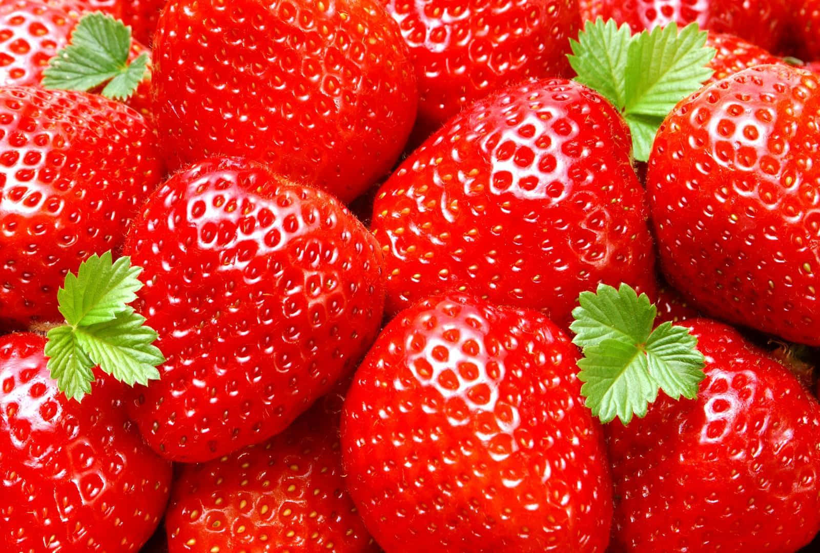 An abundant bowl of delicious and nutritious fruits!